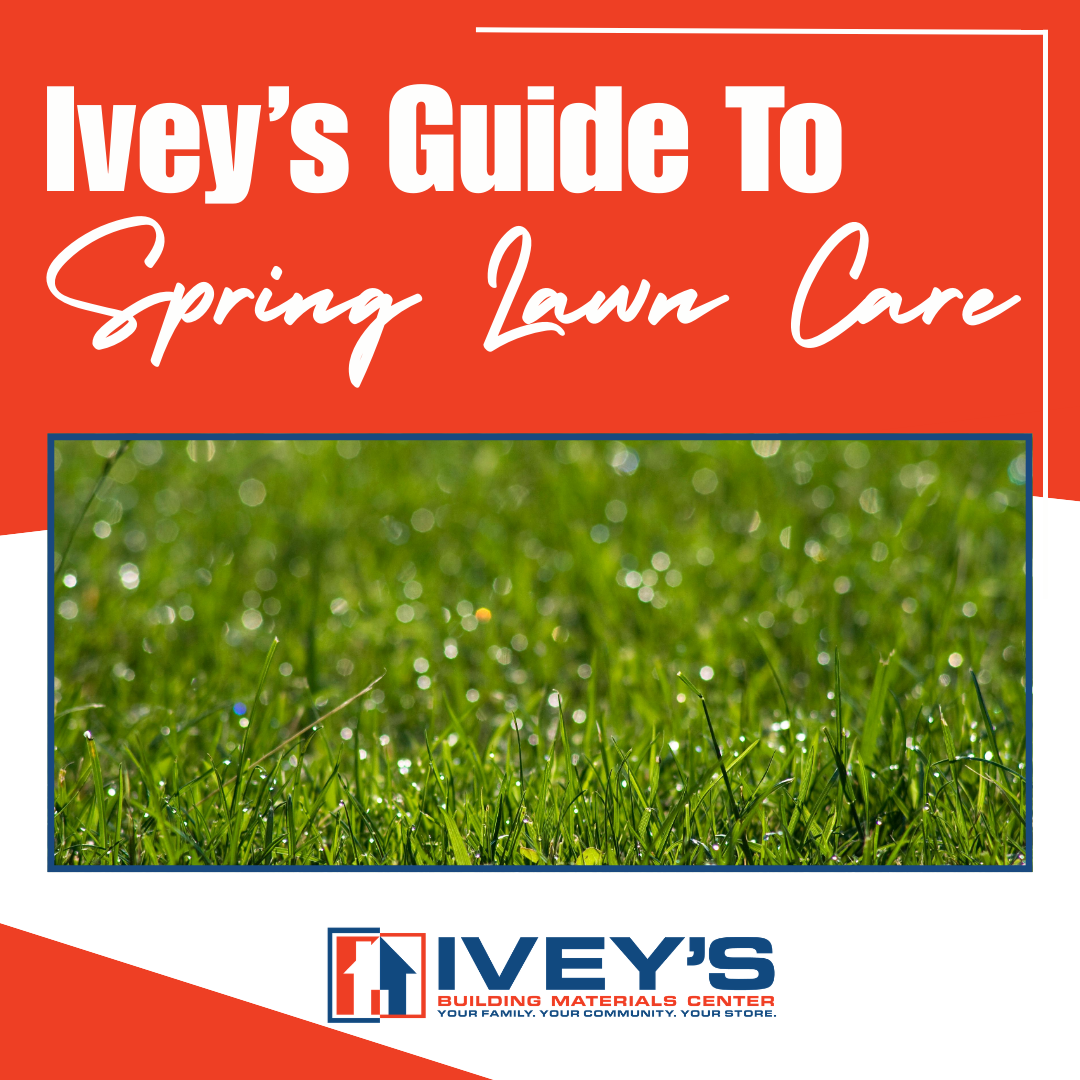 Revitalize Your Lawn This Spring: Essential Tips for a Lush Yard – Ivey ...